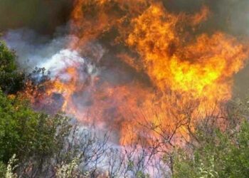 Τραγωδία στην Κορινθία – Δύο νεκροί στη φωτιά που μαίνεται στο Ξυλόκαστρο