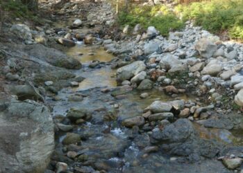 Από ακατάσχετη αιμορραγία πέθανε η τουρίστρια στο Φαράγγι της Σαμαριάς: Τι έδειξε το πόρισμα του ιατροδικαστή