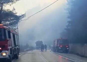 Υπό μερικό έλεγχο η πυρκαγιά στην Ξάνθη
