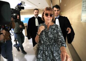 Υπόθεση Πελικό