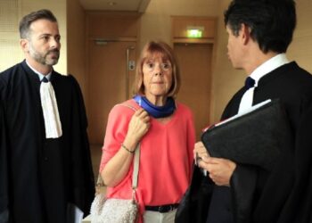 Υπόθεση Πελικό