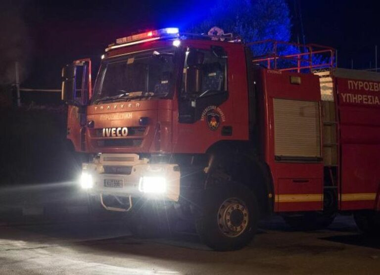 Συναγερμός από φωτιά σε εργοστάσιο στα Οινόφυτα