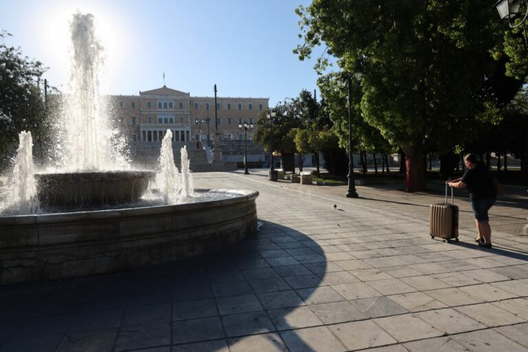 Γέμισε ποντίκια η πλατεία Συντάγματος: Γιατί εμφανίστηκαν και ποια μέτρα λαμβάνονται