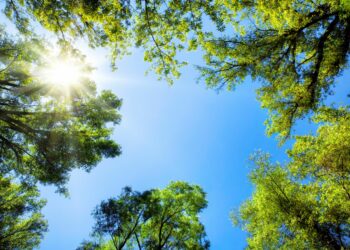 Καιρός: Το καλοκαιρινό διάλειμμα συνεχίζεται