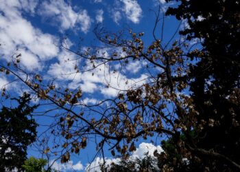 Καιρός: Παρατείνεται το καλοκαιρινό σκηνικό – Νέα άνοδος της θερμοκρασίας που θα φτάσει τους 32 βαθμούς Κελσίου