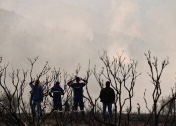 Φωτιά στην Κορινθία: Αδιάκοπη μάχη με διάσπαρτες μικρές εστίες, χωρίς ενεργό μέτωπο
