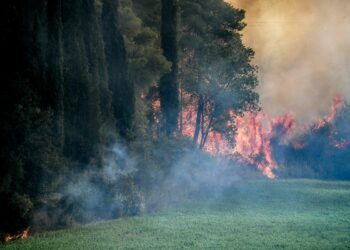 Περιορίσθηκε σημαντικά η φωτιά στο Παγγαίο – Τι ανέφερε ο Κικίλιας