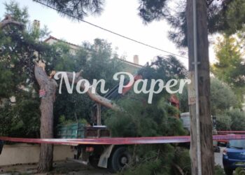 Χαλάνδρι: Ξήλωσαν ΑΤΜ από σούπερ μάρκετ – Μετά από καταδίωξη των αστυνομικών το φορτηγό καρφώθηκε σε δέντρο