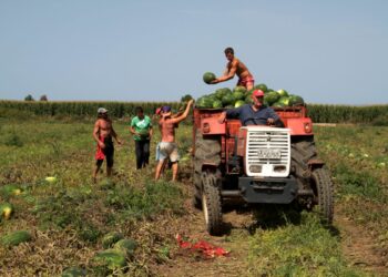 Προκαταβολή 500 εκ. ευρώ σε 527 χιλ. δικαιούχους αγρότες και κτηνοτρόφους