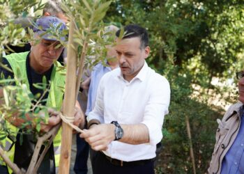 Δούκας: Συνεχίζουμε να πρασινίζουμε την Αθήνα – 3.000 δέντρα έχουν φυτευθεί από την αρχή του έτους