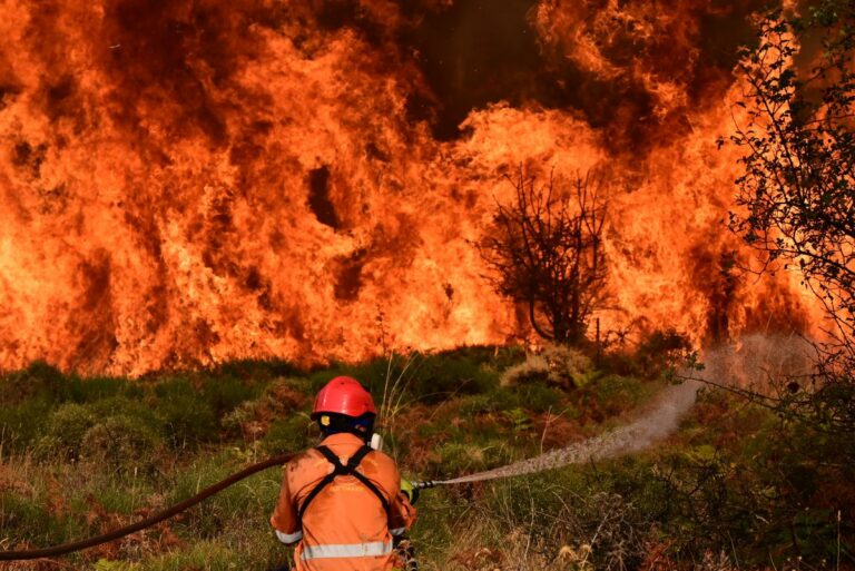 Από κάπνισμα μελισσιών ξεκίνησε η φωτιά στο Ξυλόκαστρο – Τσουχτερό πρόστιμο σε ένα άτομο