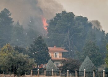 Κοντά σε σπίτια η πυρκαγιά στην Ηλεία: Δύσκολη μάχη με τριπλό μέτωπο – «Κίνδυνος για κατοικημένες περιοχές»