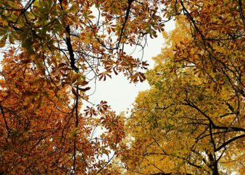 Καιρός: Νέα πτώση της θερμοκρασίας σήμερα και θυελλώδεις βοριάδες