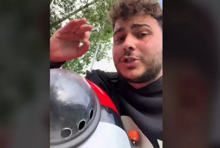 Οδηγός πέταξε από το λεωφορείο επιβάτη επειδή είχε μαζί τη γάτα του – «Με έβριζε» (video)