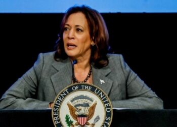 Αμερικανικές εκλογές 2024