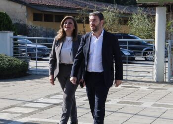 Λιακούλη: «Το ΠΑΣΟΚ, σταθερός θεματοφύλακας της Δημοκρατίας»