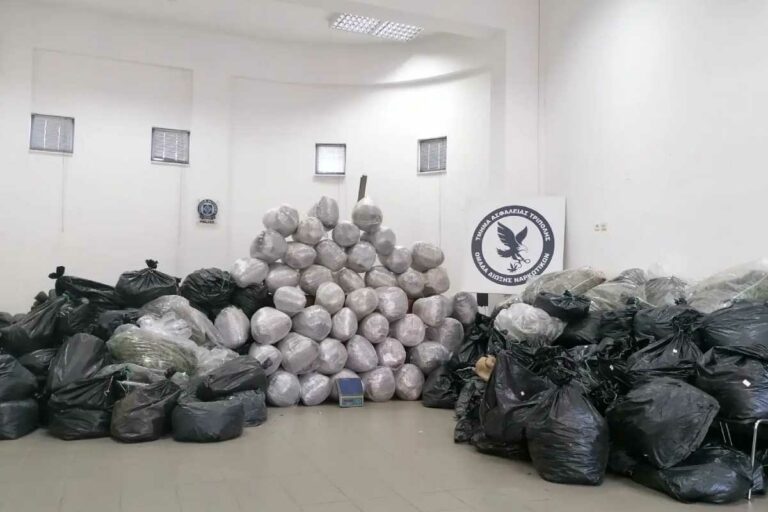 Φυτεία «μαμούθ» στην Αρκαδία: 1.253 δενδρύλλια και 1 τόνος ναρκωτικών (photo, video)