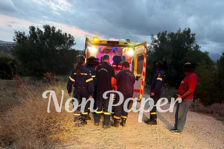 Τροχαίο ατύχημα στα Σπάτα – Οδηγός προσπάθησε να αποφύγει αλεπού και κατέληξε εκτός δρόμου (photos)