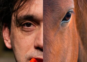 Δαγκώνει; Μία παράσταση για ενήλικες με θέμα τα ζώα