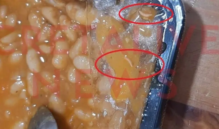 Σοβαρή καταγγελία στην Κρήτη: Βρέθηκαν σκουλήκια σε σχολικό γεύμα (photo)