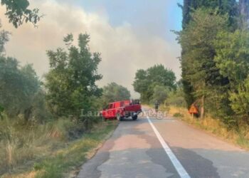 Μεγάλη φωτιά στη Στυλίδα