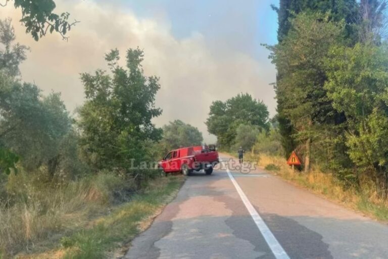 Μεγάλη φωτιά στη Στυλίδα: Ήχησε το 112