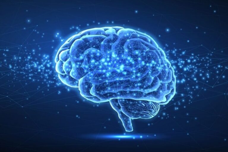 Το IQ των λαών: Πόσο έξυπνοι είναι τελικά οι άνθρωποι;