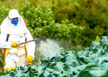 Έκρηξη παράνομων φυτοφαρμάκων στην ΕΕ: Η Ελλάδα στο επίκεντρο του σκιώδους εμπορίου