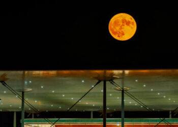 Full Moon Sleepover: Το Πάρκο Σταύρος Νιάρχος ξενυχτάει με μαραθώνιο ταινιών