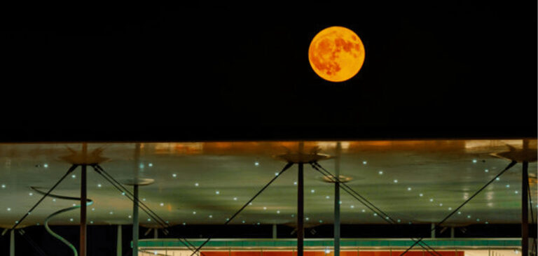 Full Moon Sleepover: Το Πάρκο Σταύρος Νιάρχος ξενυχτάει με μαραθώνιο ταινιών