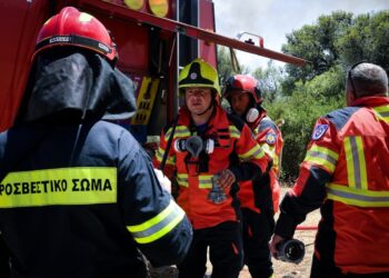 Φωτιά τώρα στην Περαία Θεσσαλονίκης