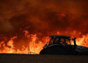 Καταστροφικές πυρκαγιές στη Βουλγαρία – Στάχτη χιλιάδες στρέμματα και δεκάδες σπίτια