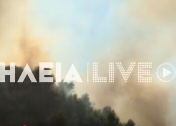 Ανεξέλεγκτη η φωτιά στην Αμαλιάδα – Επιχειρούν 14 αεροπλάνα και ελικόπτερα (βίντεο)