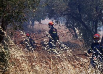 Φωτιά στο Κιλκίς