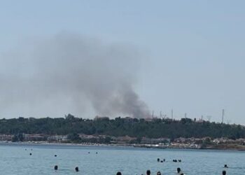 Φωτιά στη Χαλκιδική