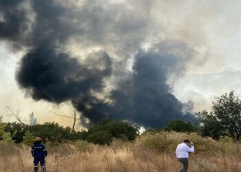 Φωτιά στη Θεσπρωτία – Μήνυμα του 112