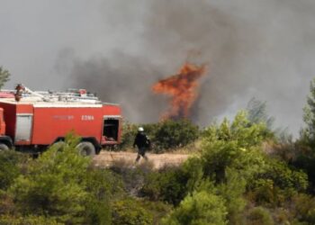 Φωτιά στη Φλώρινα – Οριοθετήθηκε η φωτιά στο Βαρικό