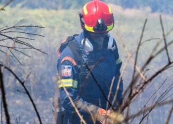 Φωτιά στην Εύβοια: Αναζωπύρωσει και μήνυμα 112 για εκκένωση στον Πισσώνα