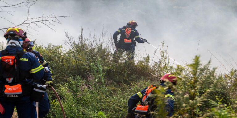Φωτιά στη Δράμα: Υπό πλήρη έλεγχο σε δασική περιοχή στο Παρανέστι