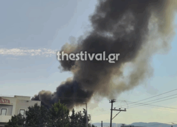 Συναγερμός για φωτιά σε εργοστάσιο στη Σίνδο – Ήχησε το 112