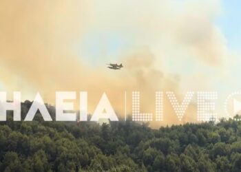 Ολονύκτια μάχη στην Αμαλιάδα – Σε ύφεση τα πύρινα μέτωπα της φωτιάς