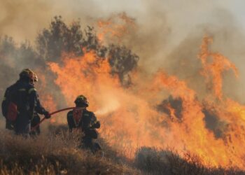 Ιεράπετρα: Καταστροφή χωρίς τέλος, καμένα σπίτια, ζώα και 12.000 στρέμματα γης