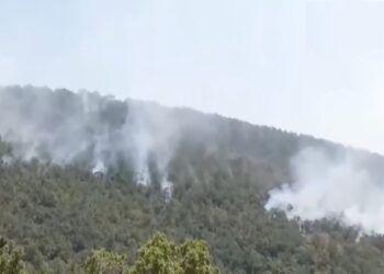 Φωτιά στην Κοζάνη – Αναζωπυρώθηκε λόγω των ανέμων