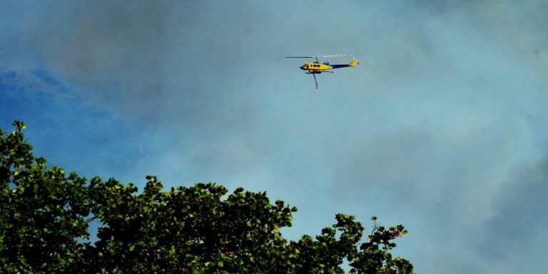 Φωτιά στον Υμηττό: Φταίνε τα… αδήλωτα μελίσσια – Πρόστιμο στον Πρύτανη