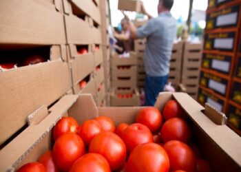 Το Υπ. Αγροτικής Ανάπτυξης ξεκινάει τριπλούς ελέγχους στη βιολογική παραγωγή