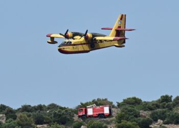 Φωτιά στο Χειμάδι Λάρισας