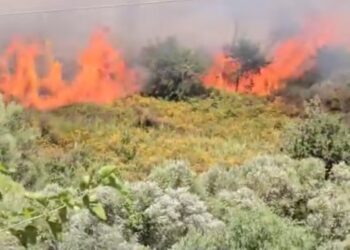 Φωτιά στην Πρέβεζα – Συναγερμός στην Πυροσβεστική