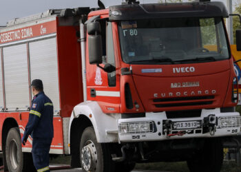 Σέρρες: Φωτιά σε εργοστάσιο ξυλείας