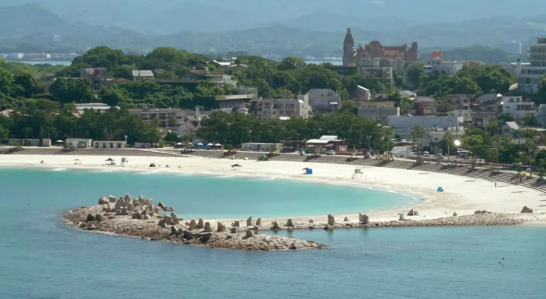 Μέγα-σεισμός στη Ρωσία: Φάλαινες ξεβράστηκαν στις ακτές της Ιαπωνίας μετά το τσουνάμι