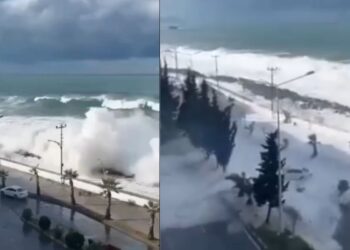 Μέγα-σεισμός στη Ρωσία: Σε τι ύψος έχουν φτάσει τα κύματα από τα τσουνάμι στις ακτές των ΗΠΑ (Βίντεο)